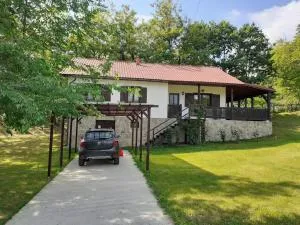 Casuta de pe deal - Linteşti