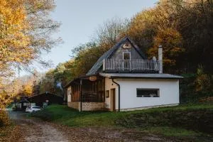 Chata Pekný les - Jedľové Kostoľany