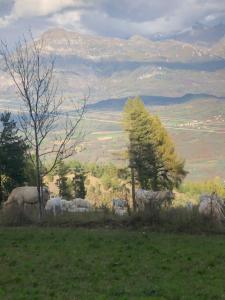 Studio meublé station LAYE Champsaur