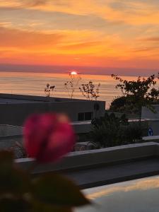 Villa Champagne Green Coast Palase