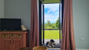 The Old Mountain Stables Caerllwyn Ganol Farm