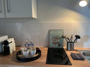 Appartements La Maison aux volets bleus 37 m3, Bords de Saone : photos des chambres