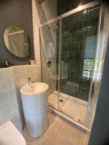 Saint Jacques Sciences