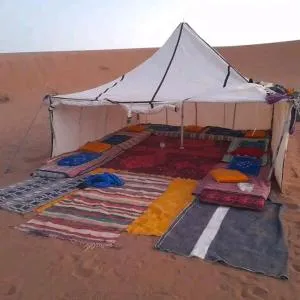 Organisation Des Excursions & Bivouac dans le désert - Foum Zguid