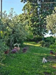 Il casaletto di Simeone - Lugnano in Teverina