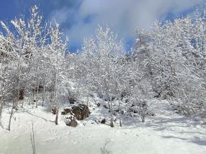 aNNa s Cozy Home with Private Forest, Canopy Terrace & Parking, near Präbichl