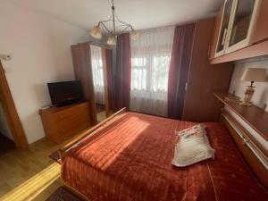 Socul - Apartament cu gradina privata si gratar
