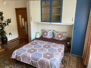 Socul - Apartament cu gradina privata si gratar