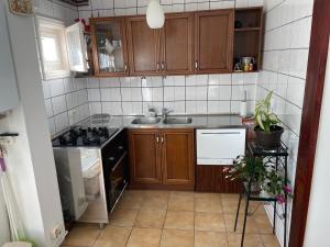 Socul - Apartament cu gradina privata si gratar