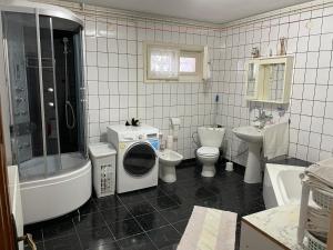 Socul - Apartament cu gradina privata si gratar