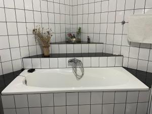 Socul - Apartament cu gradina privata si gratar