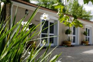 Clos Malverne Wine Estate