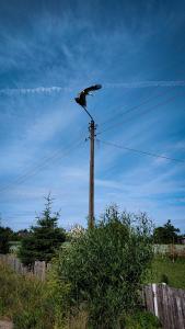 Domek ogrzewany pompą ciepła