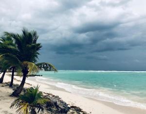 Melrose Beach Apartments Inc