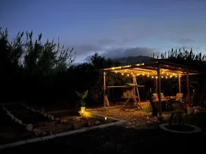 Camper Mercedes en la naturaleza - Llaurí