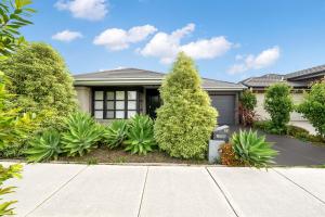 Happy Cozy Convenient 4BR, Breezy, Near Mall, Park