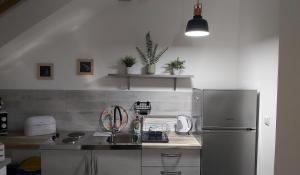 Studio apartman GRIZZLY