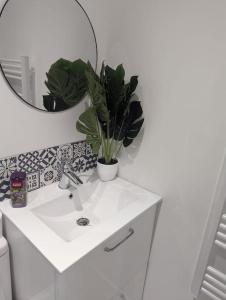 Appartements Le peronne-4 : photos des chambres