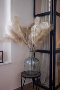 Bulle dAmour - Jacuzzi, 10mn Palais&Plage, Centre