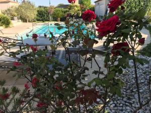 Maisons de vacances Maison agreable avec piscine a Entre-Vignes : photos des chambres