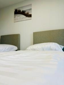 RG Living - Pro Comfort