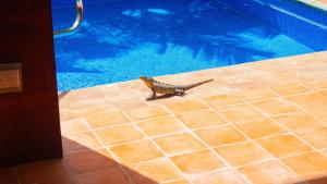 3 Minutes Walk From The Best Surf Beach In Area