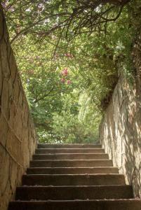 Exclusivo en el Oeste