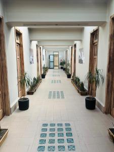 FRONTERA 49 Roma Norte Hostal