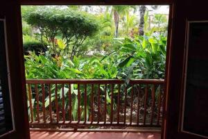 Beach, nature and relaxation