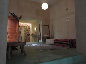 barefoot jungle studios