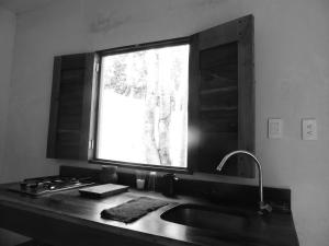 barefoot jungle studios