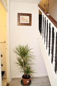 Duplex 3- Bed Apartment Kingston