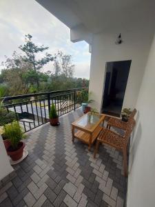 Home Stay Green pepper