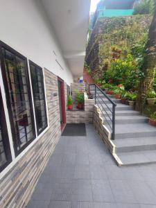 Home Stay Green pepper