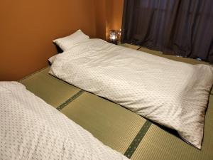 グリーンコーポラス若松501