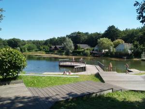 Modern chalet located in the Achterhoek