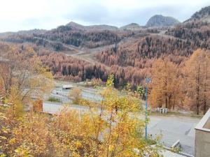 Appartements Charmant 3 pieces pres pistes, parking, Isola 2000 - FR-1-292-216 : photos des chambres