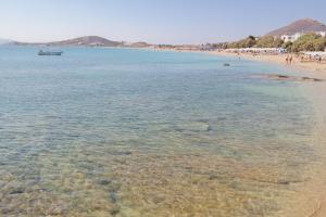 Katerina Babis Studios