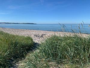 Beautiful Home In Knebel With 3 Bedrooms