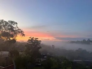 Family home - Asquith