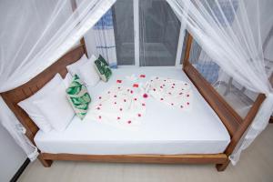 JK House Turtle Point