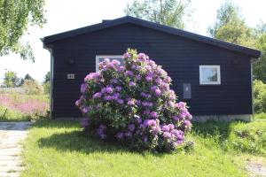 Beautiful Home In Ebeltoft With 2 Bedrooms And Wifi