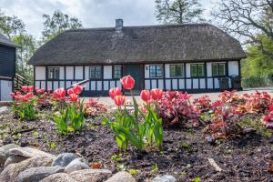 Awesome Home In Ebeltoft With 3 Bedrooms And Internet