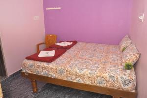 Hampi V S HOMESTAY