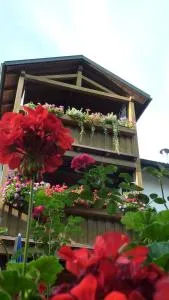 Ferienwohnung Hofer - Winhöring