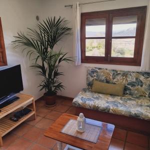 Duplex Apartment (2 Adults) room in Casa Montecote Eco Resort