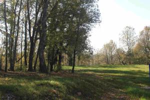 Maisons de vacances 