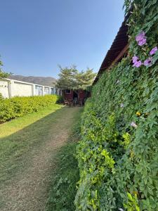 Hotel Lucifer Pushkar