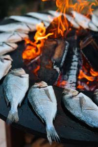 Family Resort Urania