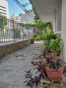 Las Palmitas - Stylish beach apartment